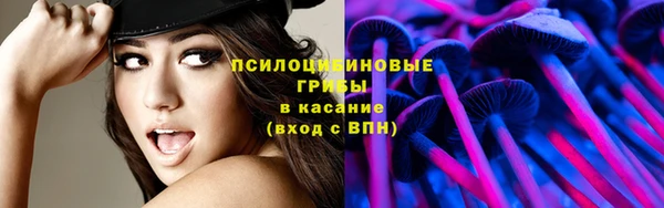 МДПВ Алзамай