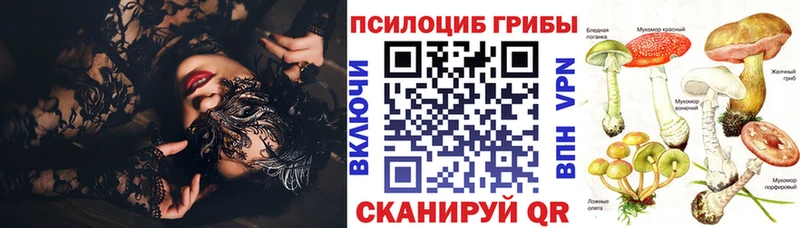 Псилоцибиновые грибы мухоморы  купить закладку  Сосновка 